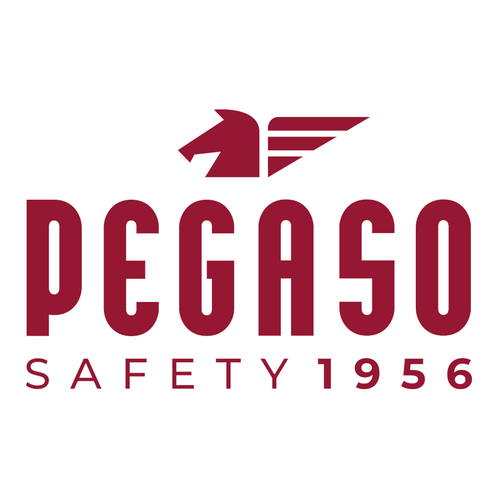 Logo PEGASO